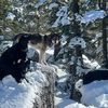 tahoe_calupoh_usa