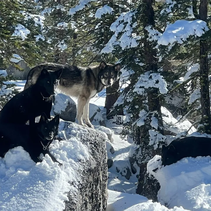 tahoe_calupoh_usa