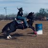 barrel_diva2k01