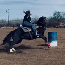 @barrel_diva2k01