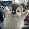 jesusisawesome_737