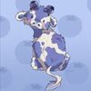 blueberry.cows._