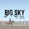 bigskyhorsesales