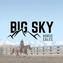 @bigskyhorsesales