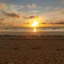 @velourabloom1