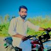 sunny_jalip