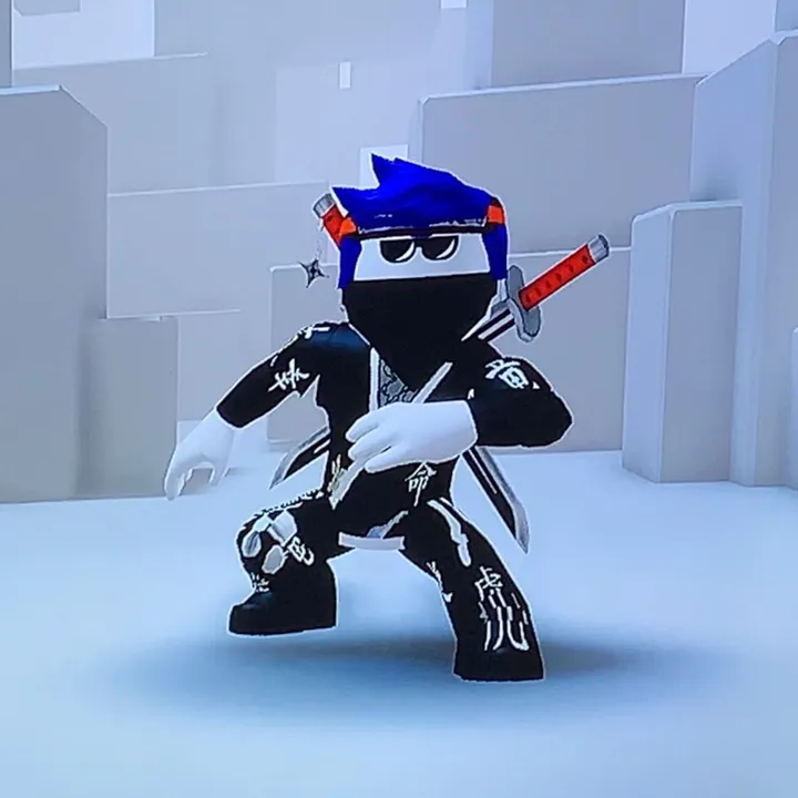v4nhel5ing_roblox