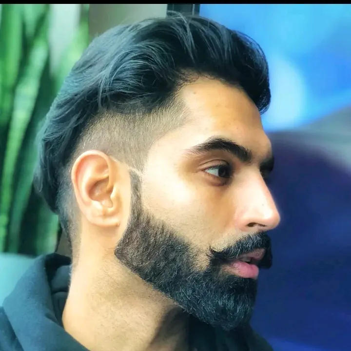 parmish.verma.offical