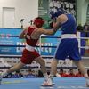 parvenets.boxing.club