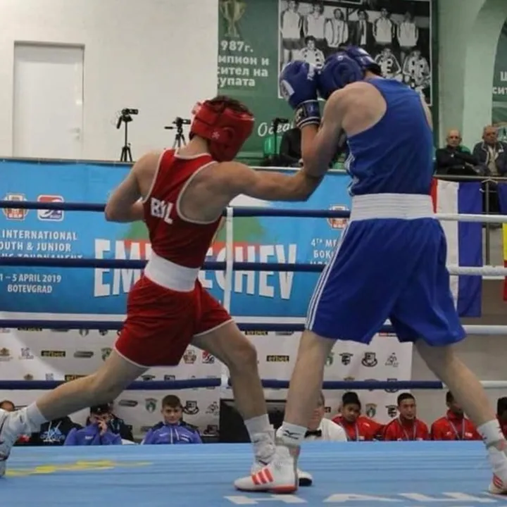 parvenets.boxing.club