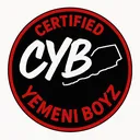 @cyb_313