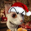@warcat64