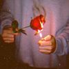 feelyourheartbreak