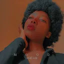 @shaxy801