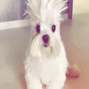 @bananalatte1094939