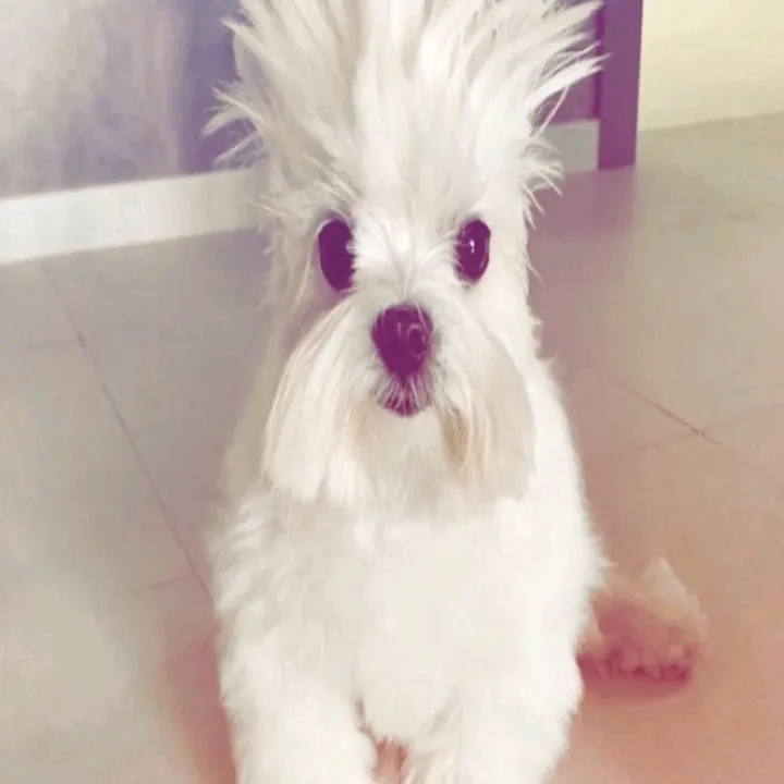 bananalatte1094939