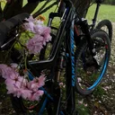 @i_ride_santa_cruz
