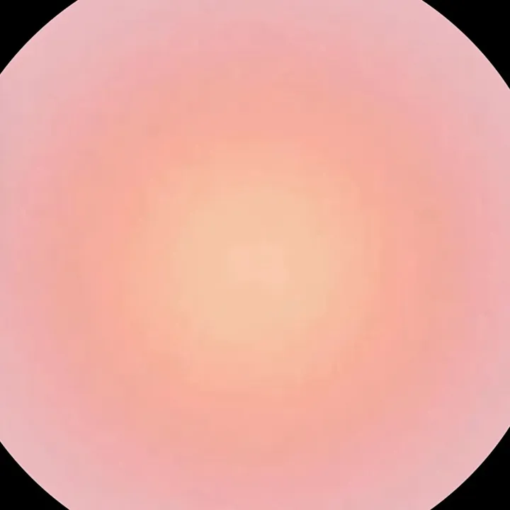 lala_rotinas65