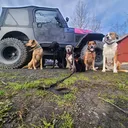 @fourlowk9