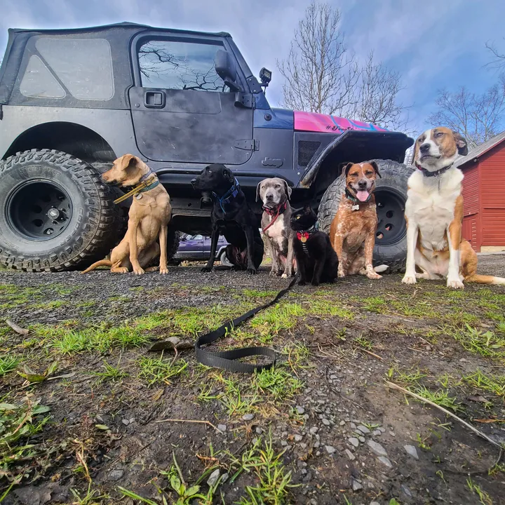 fourlowk9