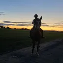 @_.x.equestrian.x._