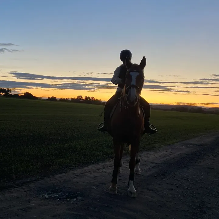 @_.x.equestrian.x._