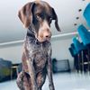 monty..bear_00
