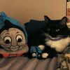 thomas.fan.1.og