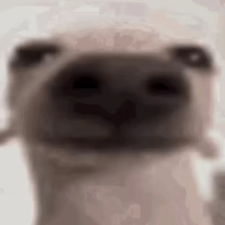 @steelnutz47