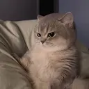 @leeknoot_
