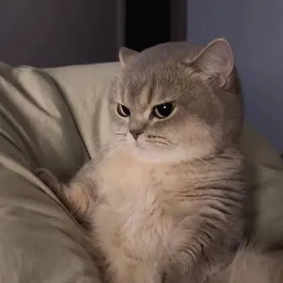 leeknoot_