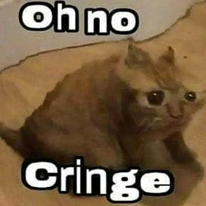 @punk_racoon
