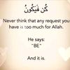 hafeeza_100