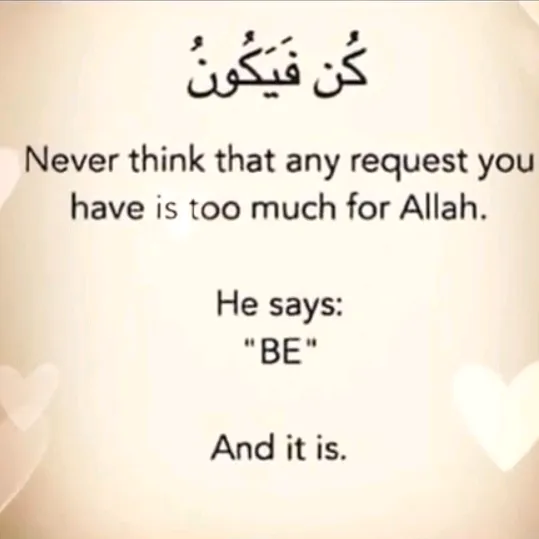 hafeeza_100
