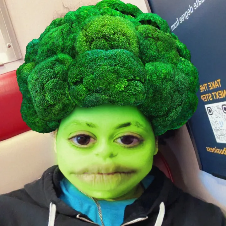 mythicalelfdragon