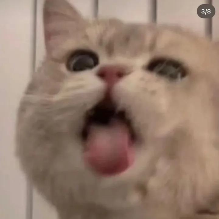 @itmauy