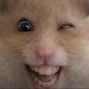 kinkapookie
