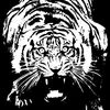 _lichis0