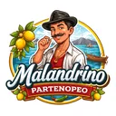 @malandrino.partenopeo