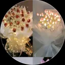 @anshrakhan7860
