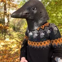 @createmesanity
