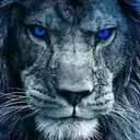 @thelion2710