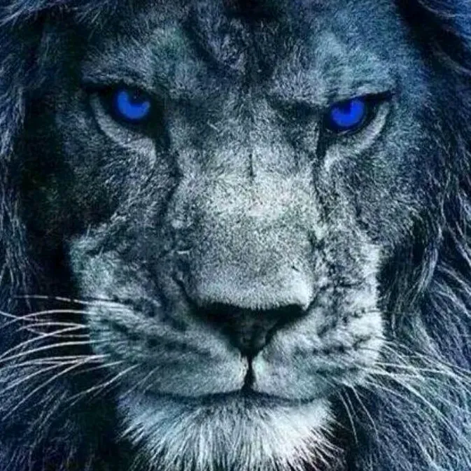 thelion2710