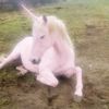 cupid_lps0