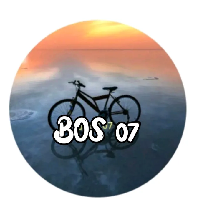 @bos0607