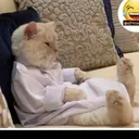 @nata369lia