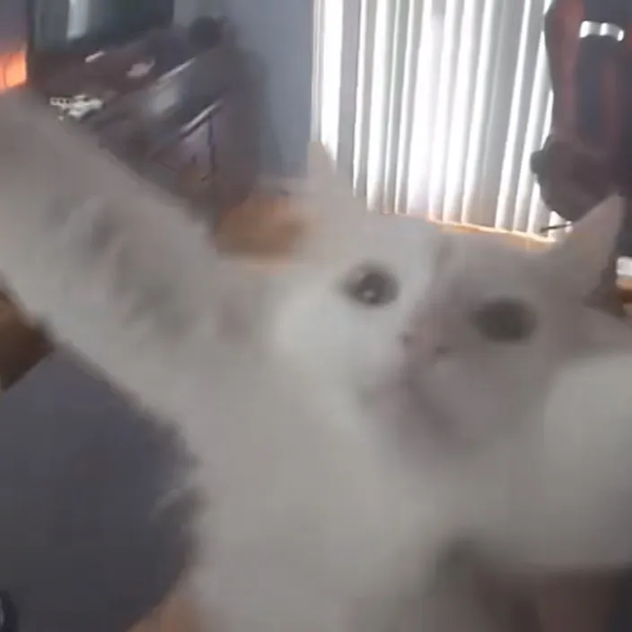 its.ur.person.ledledle