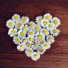 lovetoloveromance
