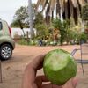 mi.rancho.querido
