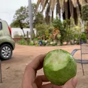 @mi.rancho.querido